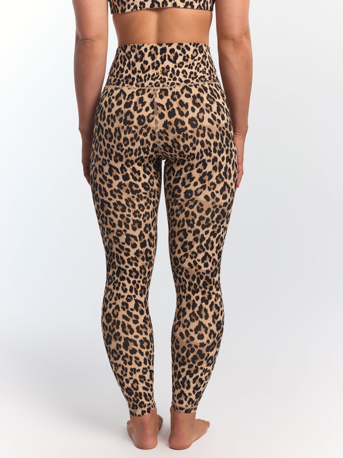 טייץ בגזרה גבוהה אורך ”25 מבד ilios