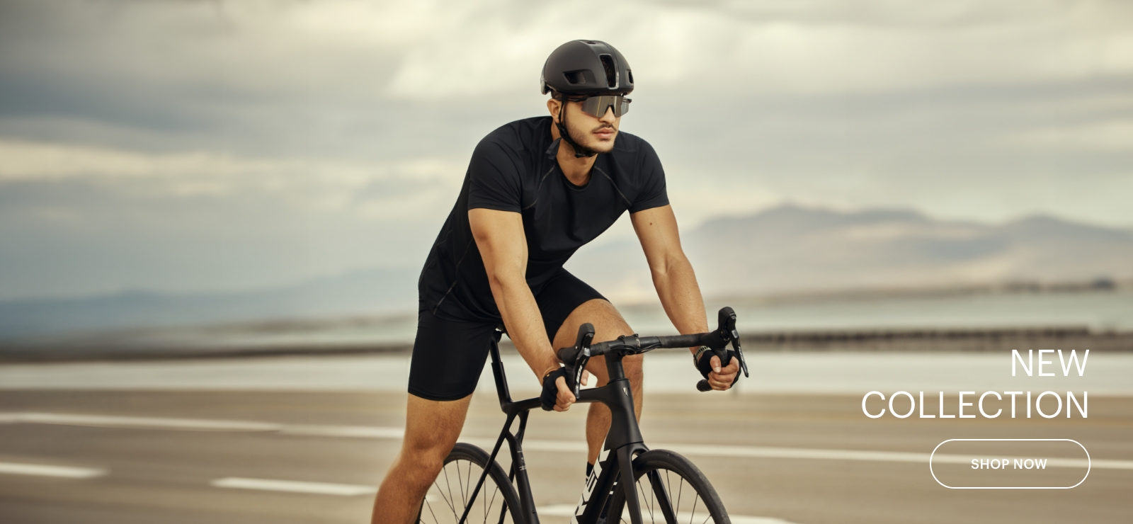 קולקציה חדשה