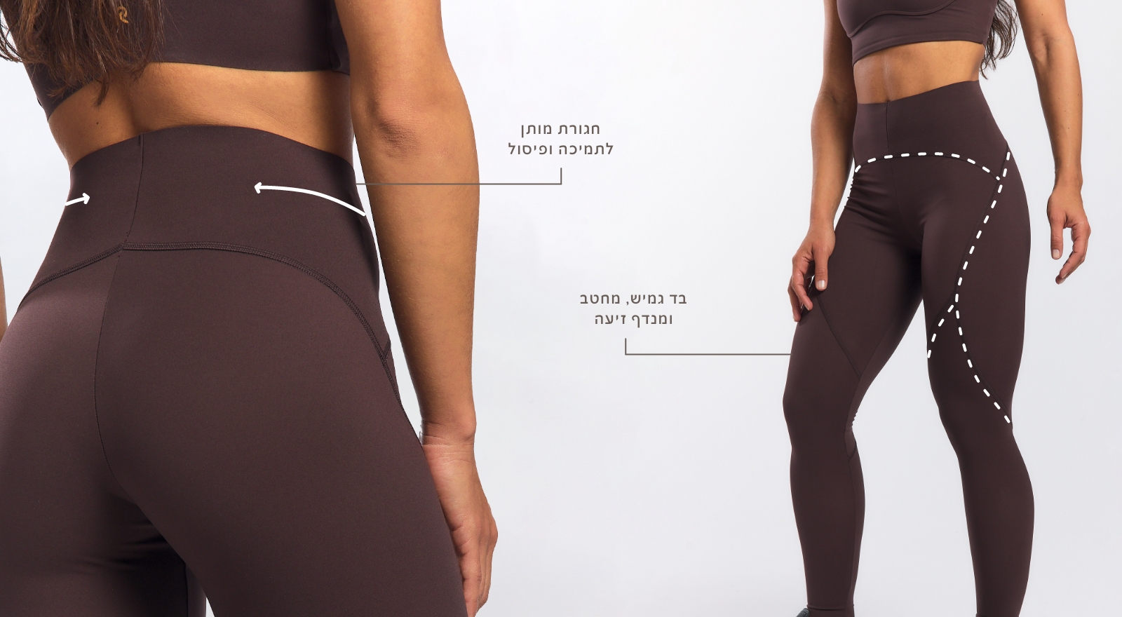 באנר פרסומי פטרה מאפיינים