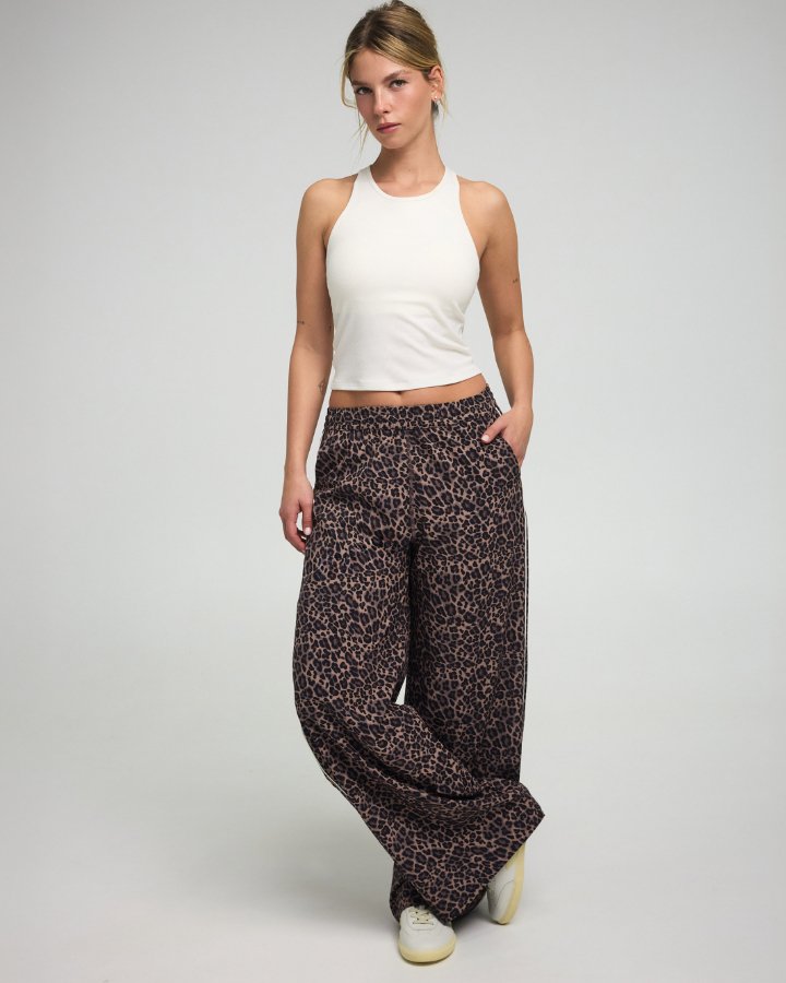 תמונת אווירה