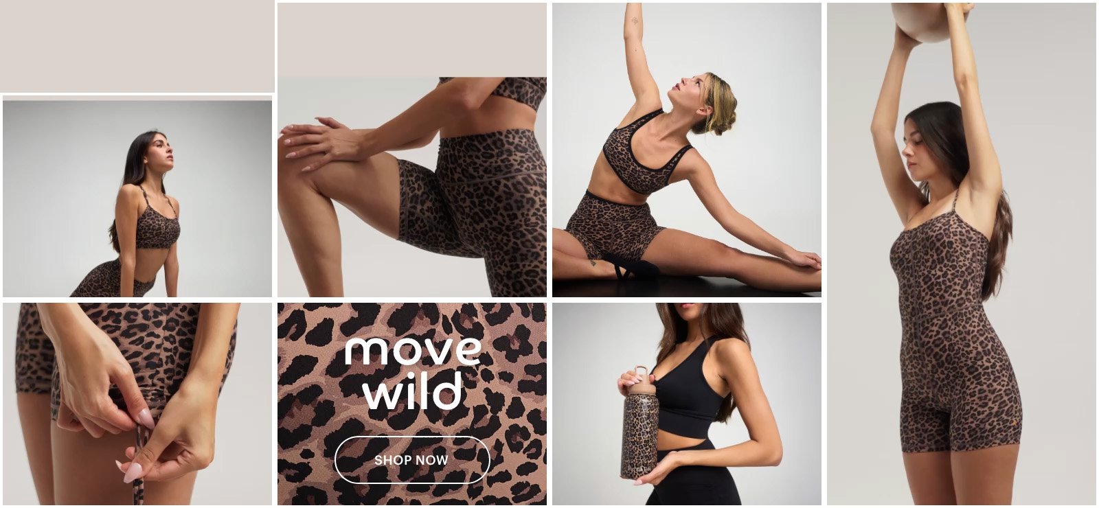 קולקציה חדשה מנומרת