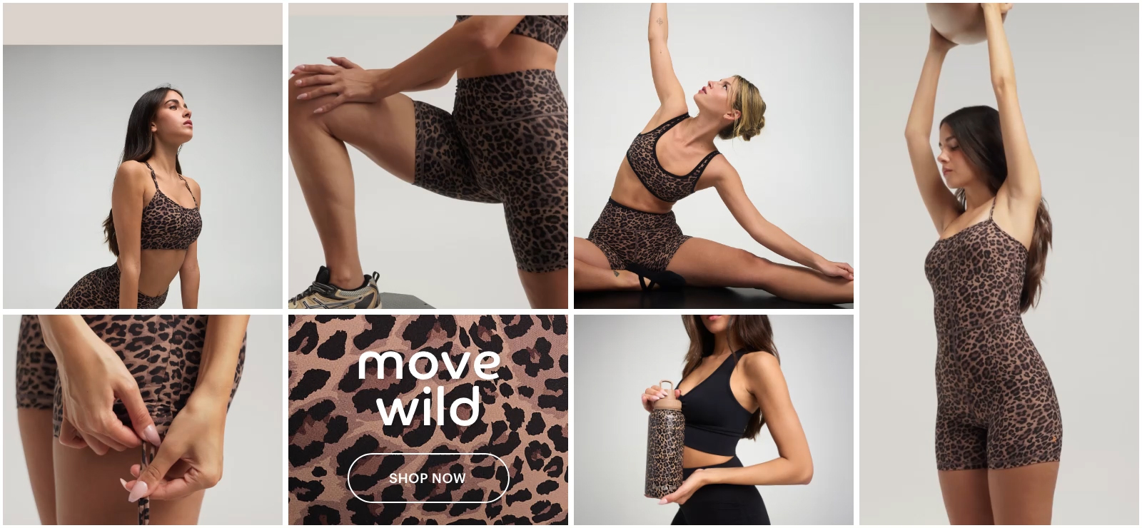 קולקציה חדשה מנומרת