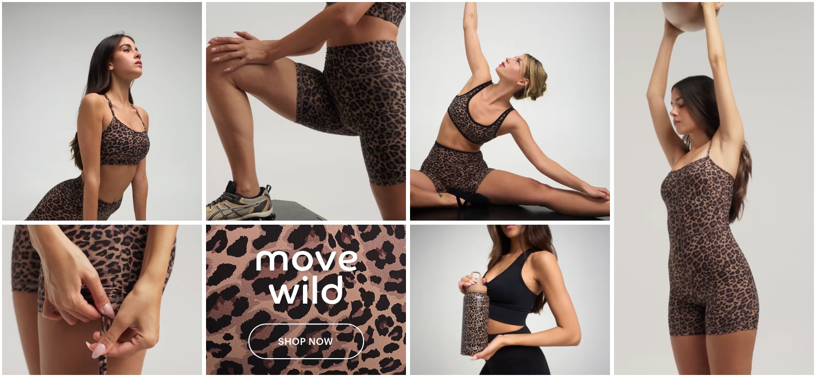 קולקציה חדשה מנומרת