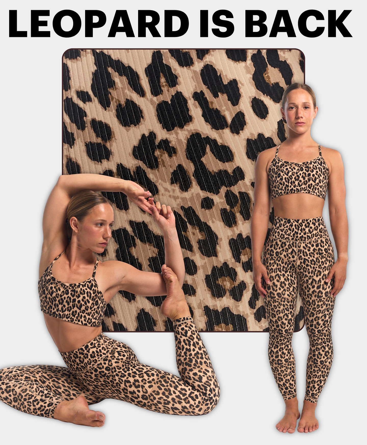 LEOPARD IS BACK!
דגמים חדשים מבד ilios rib - הבד המושלם לאימוני פילאטיס יוגה וסטודיו! גמיש במיוחד, רך כמו חמאה, מחטב וסופר מחמיא.
התכונות הכי נעימות בבד אחד שכולו גמישות וחופש תנועה!
הדגמים החדשים מחכים לכם באתר ובחנויות